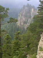 /album/resim-galerisi/a7808-10201374153465966-1950663098-n-jpg/