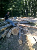 /album/resim-galerisi/a408455-10201178964746370-1472218535-n-jpg/