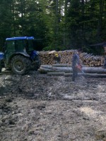 /album/resim-galerisi/a935220-10201374163226210-1194801340-n-jpg/