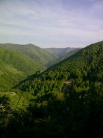 /album/resim-galerisi/a935395-10201192908574957-2053549656-n-jpg/