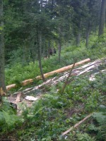 /album/resim-galerisi/a947067-10201374158586094-1827074175-n-jpg/