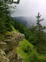 /album/resim-galerisi/a954832-10201374147305812-1846719956-n-jpg/