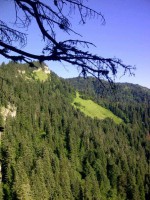 /album/resim-galerisi/a988533-10201469337885517-2125577937-n-jpg/