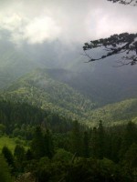 /album/resim-galerisi/a994166-10201374131945428-738207143-n-jpg/