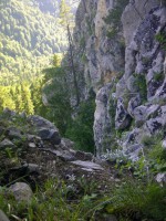 /album/resim-galerisi/a1003124-10201469364846191-1192644751-n-jpg/