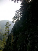 /album/resim-galerisi/a1012100-10201469367486257-1733858885-n-jpg/