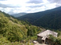 /album/resim-galerisi/foto%c4%9fraf0137-jpg/