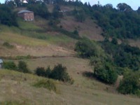 /album/resim-galerisi/foto%c4%9fraf0143-jpg/