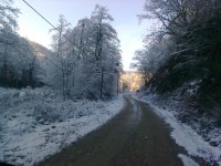 /album/resim-galerisi/foto%c4%9fraf0843-jpg/