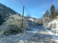 /album/resim-galerisi/foto%c4%9fraf0844-jpg/